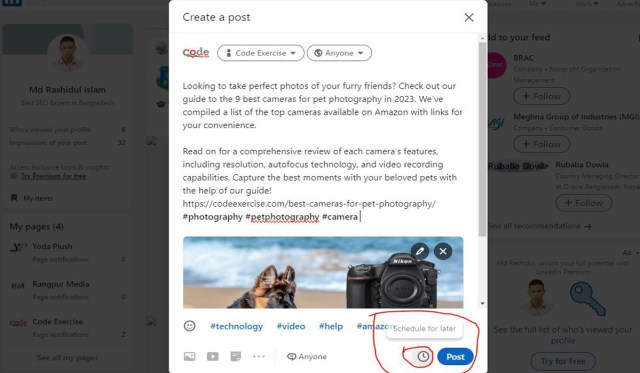 Schedule a Post - linkedin