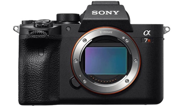 Sony a7R IV Best Camera for Wildlife Photography