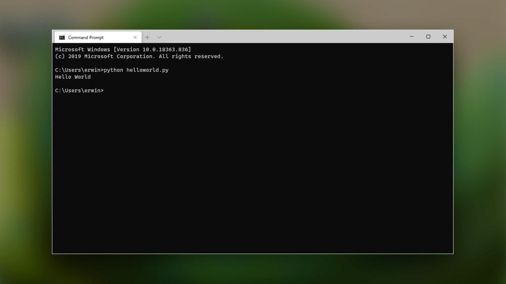 How to get Portable Python 3.11 on Windows 11 – CodeFAQ