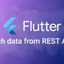 Flutter Fetch Data From REST APIs - A Step-by-Step Guide | CodeForGeek