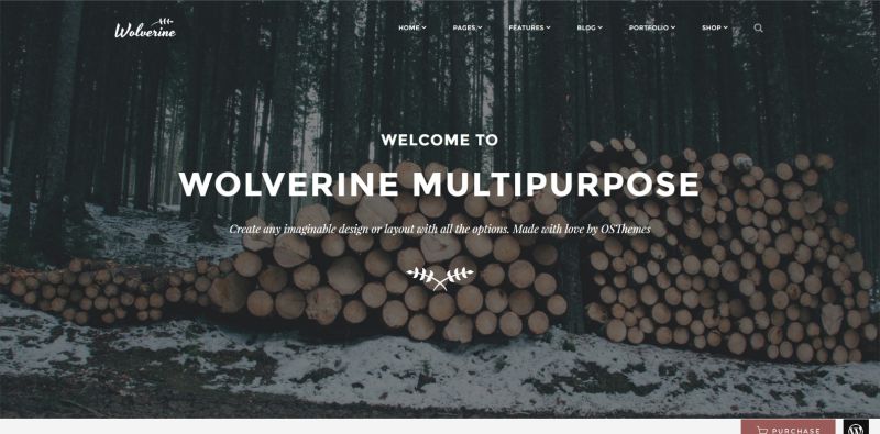 Shell Multipurpose Html5 Template Html5 Templates Html5 Templates - Beautiful 4K Vintage Arts | Free Download