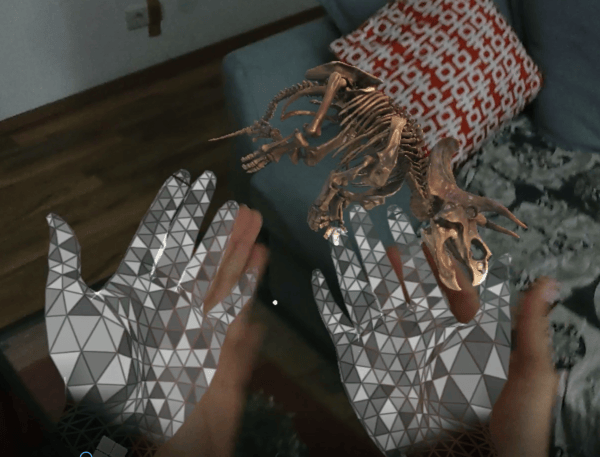 Hand Mesh Visualization