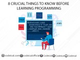 Before Learning Programming 8 Crucial Things You Should Know Codeical