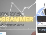Kamu Perlu Tahu Inilah Alasan Mengapa Prospek Programmer Sangat