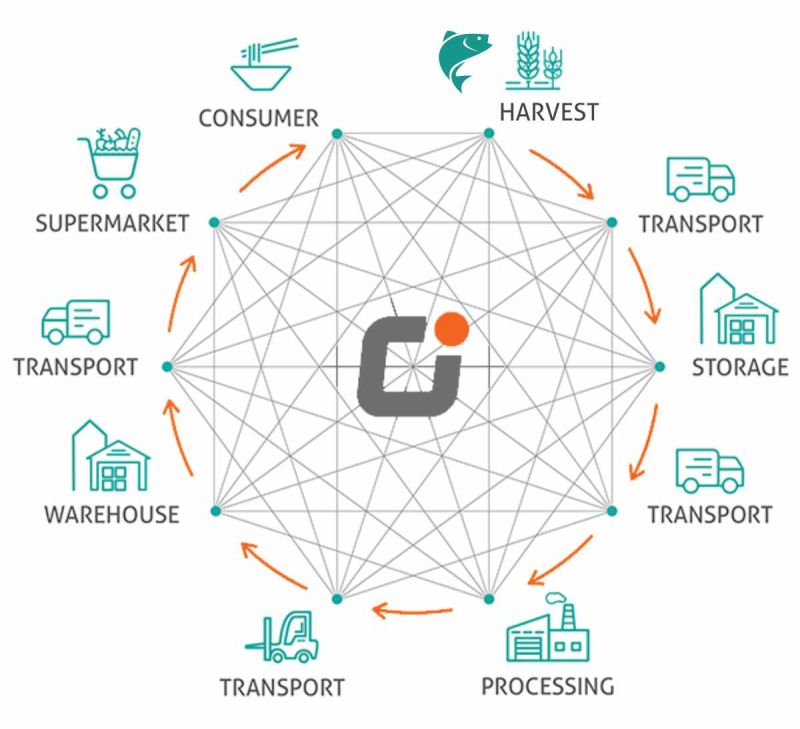 Welcome To The Codeit Enterprise Ecosystem - Vintage Picture Collection - Retina Quality