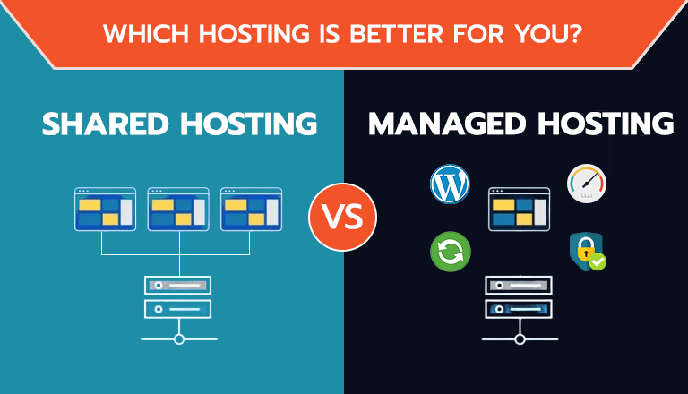 Managed Vs Shared Hosting: Which Is Best for Your Website?