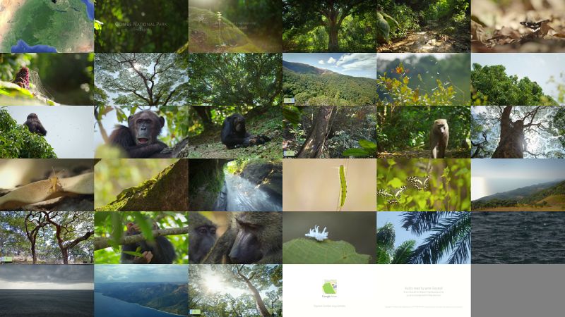 Demo To Implement Google Cloud Video Intelligence Api - Vintage Backgrounds - Incredible 8K Collection