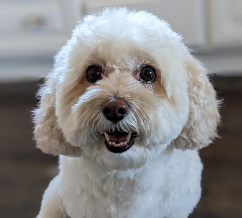 Private Service Connect Interface Google Codelabs - Vintage Image Collection - High Resolution Quality