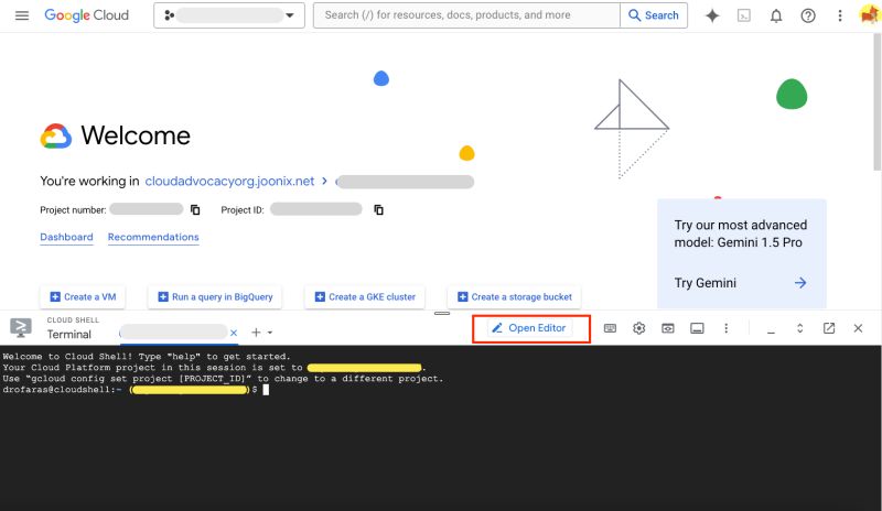 Introduction To Testing With Gemini Code Assist Google Codelabs - Best Ocean Textures in Retina