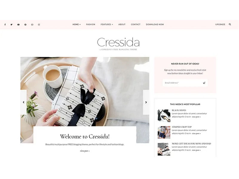 After all, a premium theme generally has solid code and a . 53 Best Free Wordpress Themes 2021 Hand Picked