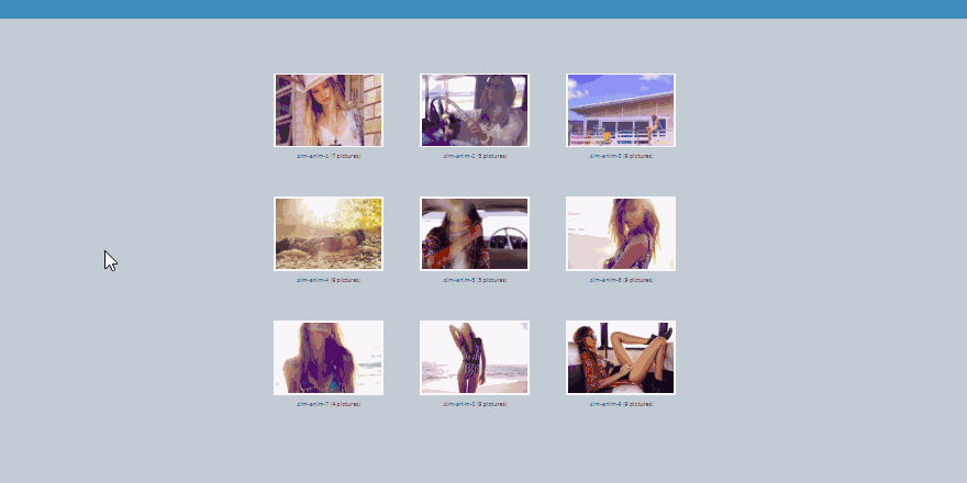 Pure CSS Image Gallery Hover Animation