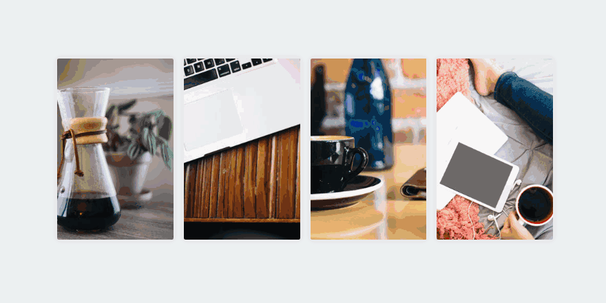 Image Gallery Hover Effect