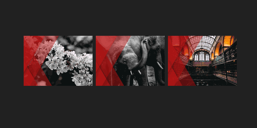 Image Hover Reveal Title and Caption