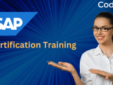 Sap Fico Training Boost Your Career Growth With The Most In Demand Sap