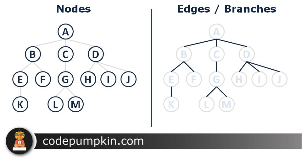 What Is Tree In Data Structure Explain Different Types Of Trees Online Class Notes