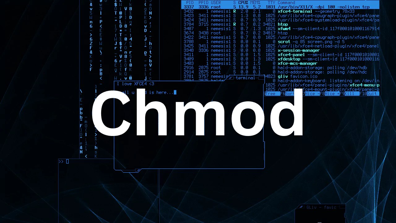 شرح أمر chmod في لينكس: كيفية تغيير صلاحيات الملفات والمجلدات