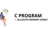 C Program To Dynamically Allocate Memory Using Malloc