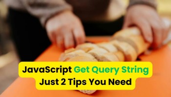 JavaScript Get Query String
