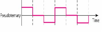 line-coding7