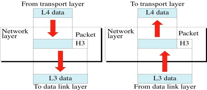 network-layer