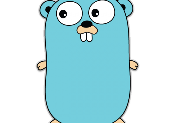 golang unit testing