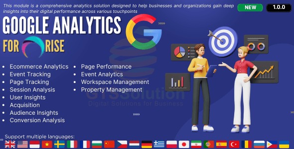 Google Analytics plugin for RISE CRM
