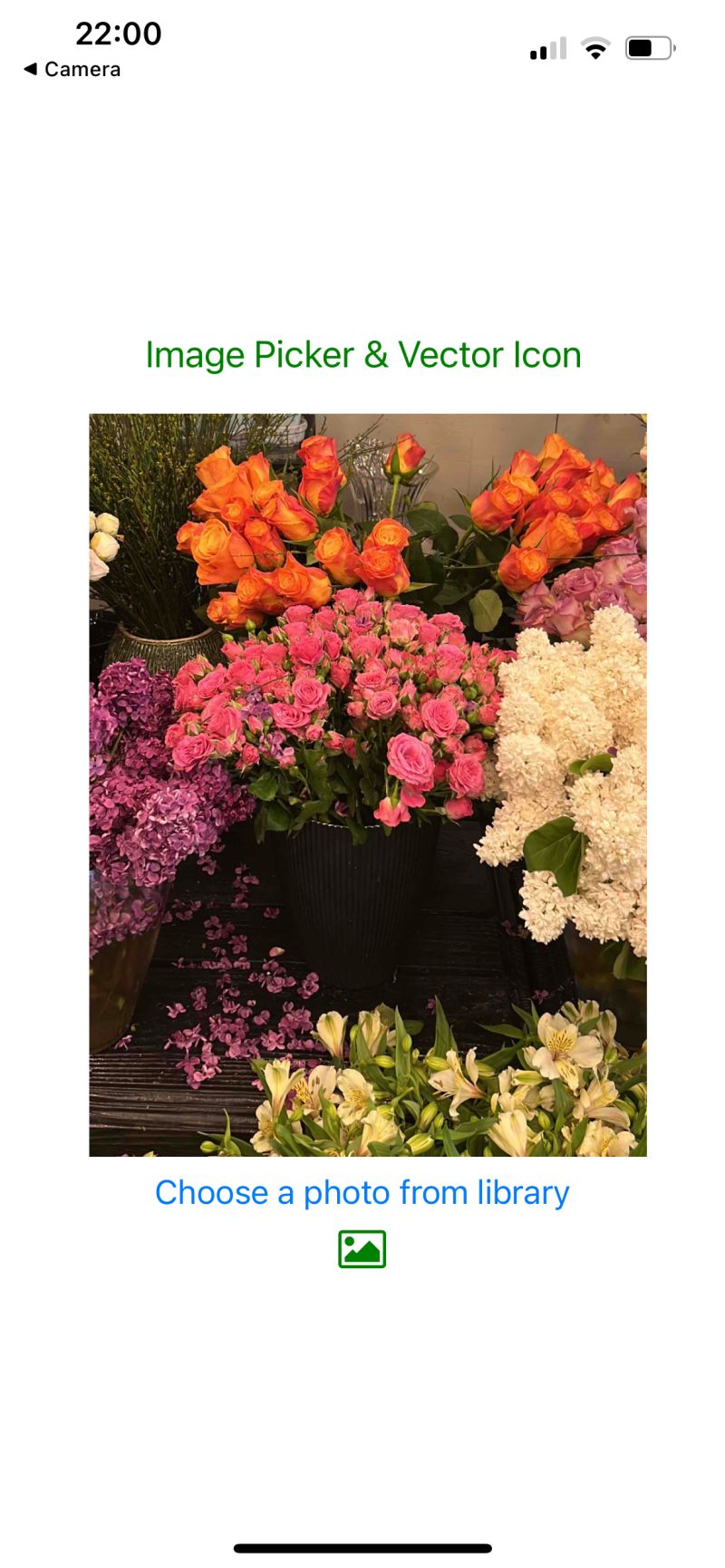 React Native Expo Tutorial 2024 Codes Of Phoenix - Premium Nature Design Gallery - Full HD