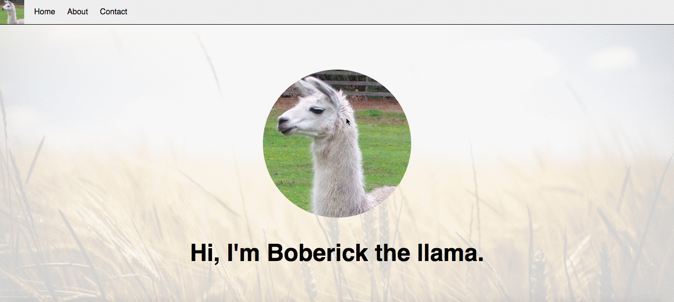 How to create a website using HTML and CSS in 7 steps (4) How to create a website using HTML and CSS in 7 steps (4)