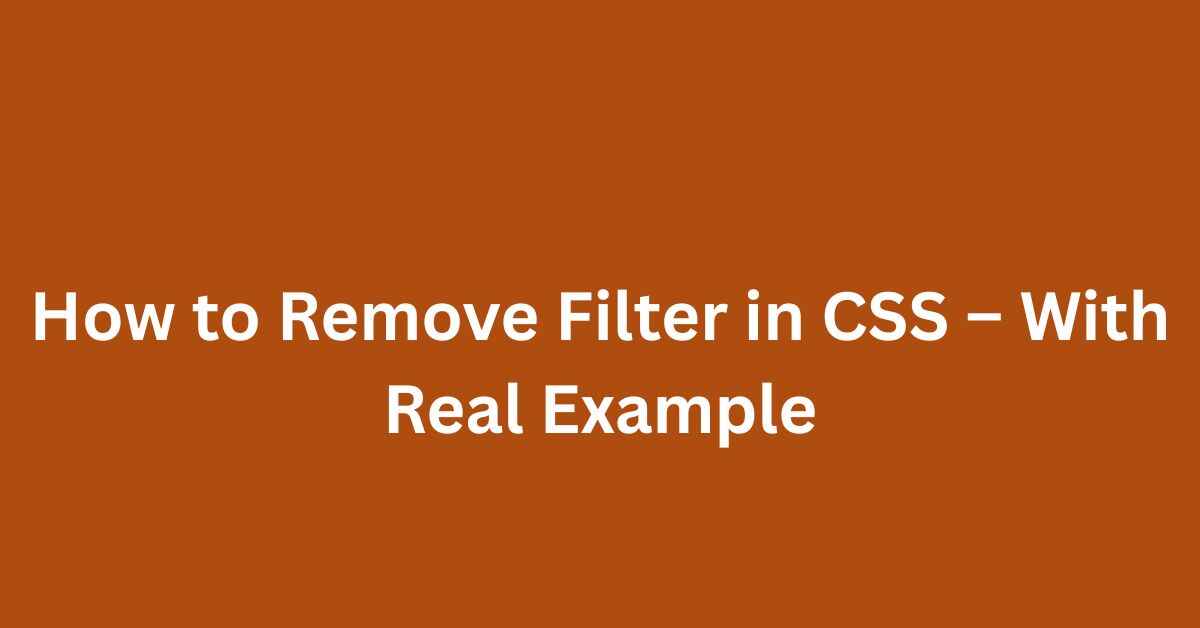 How to Remove Filter in CSS – With Real Example