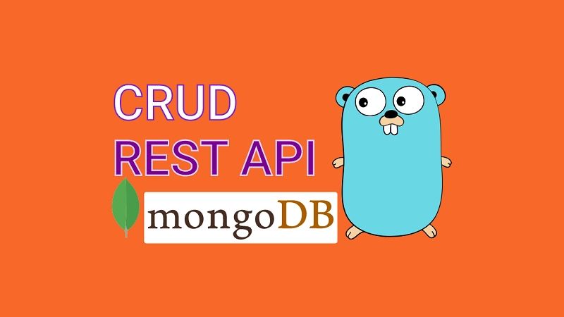 Build Crud Restful Api Server With Golang Gin And Mongodb 2025 - Best Colorful Patterns in 4K