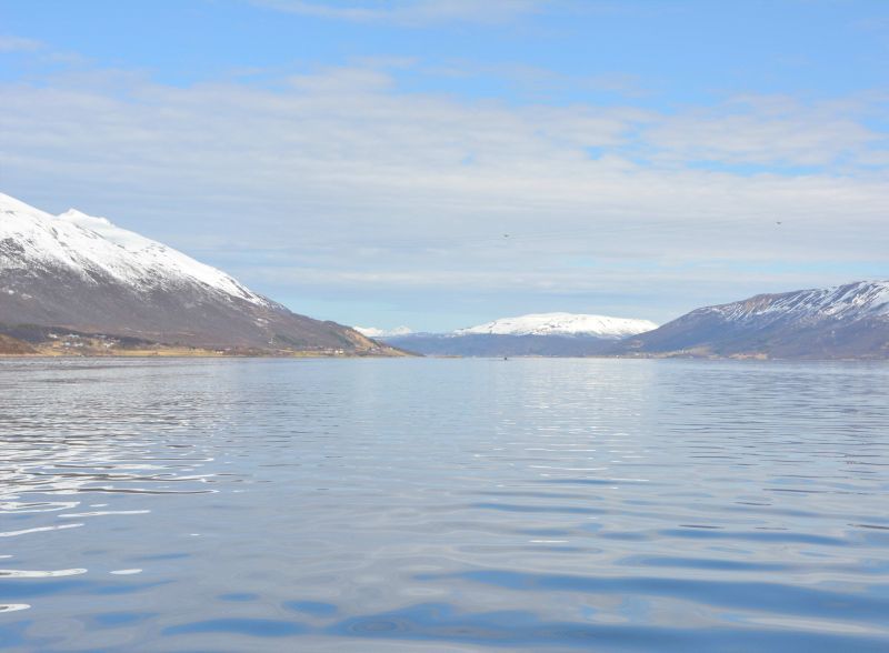 Codeus - Premium Landscape Pattern Gallery - Mobile