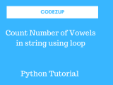 Count Number Of Vowels Present In String Using Loops Python