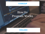 Understanding How A Golang Program Works Codez Up