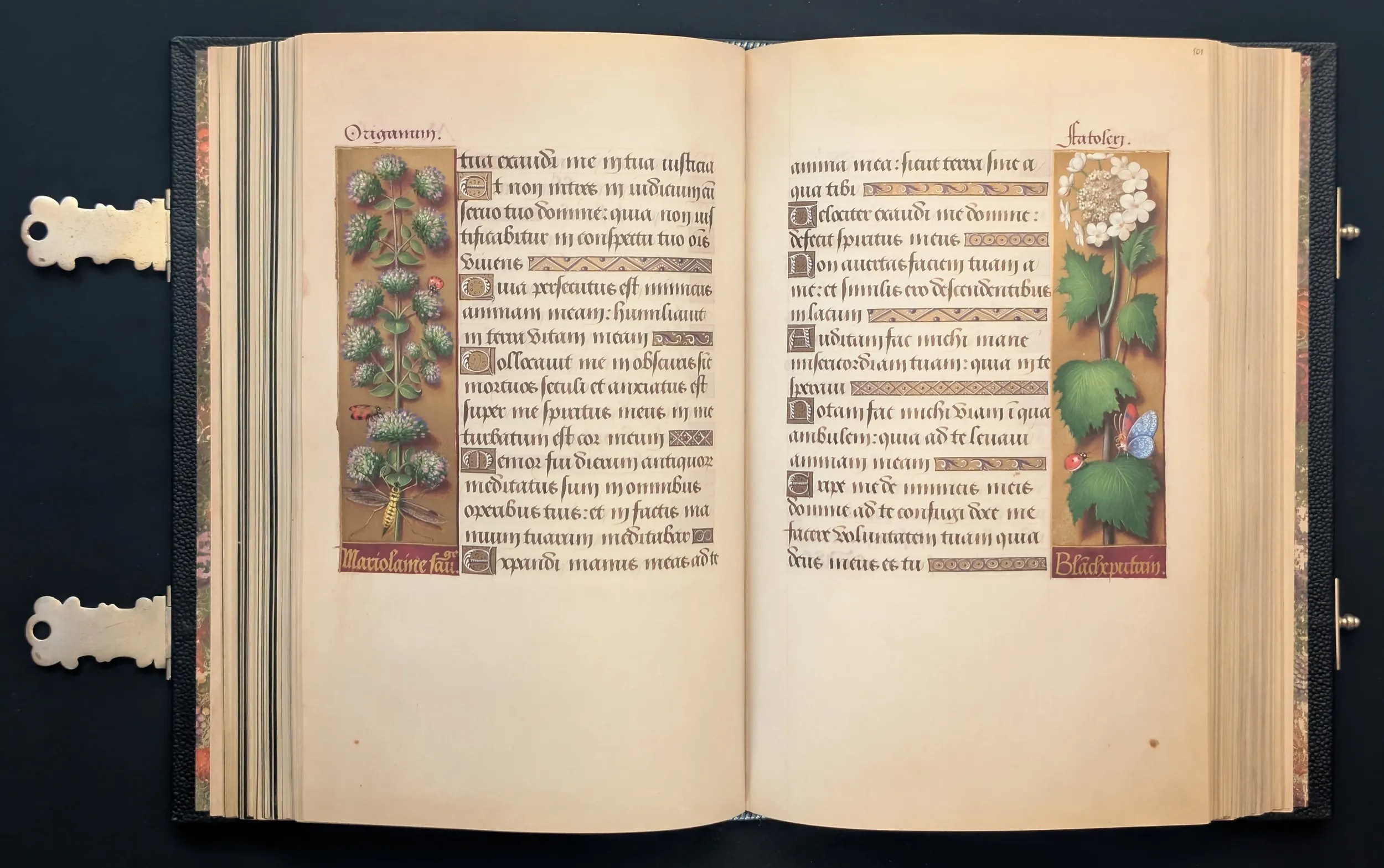 Grandes Horas de Ana de Bretaña, Editorial Moleiro, folio 100v Orégano, 101r Bola de nieve