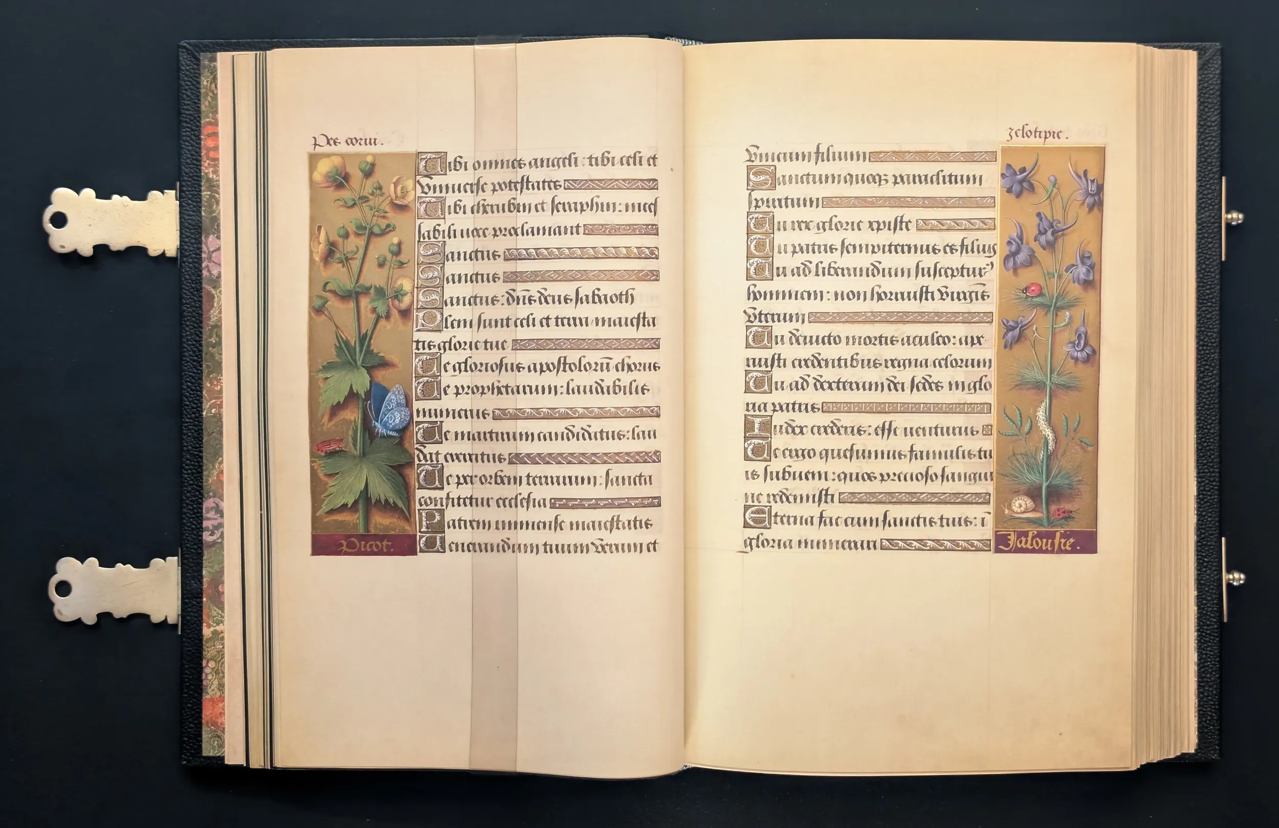 Grandes Horas de Ana de Bretaña, Editorial Moleiro, folio 34v Ranúnculo de flores dobles, 35r Delphinium "pie de golondrina"