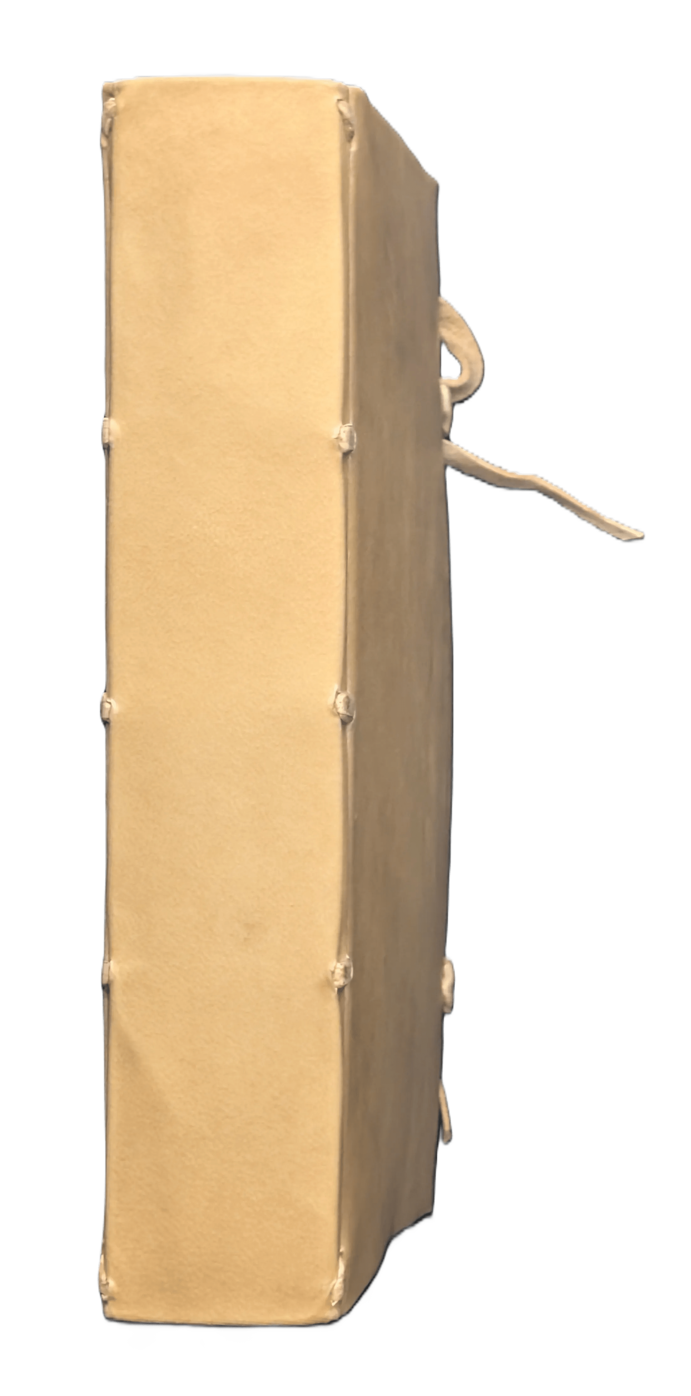 Imagen del lomo del facsímil del Voynich