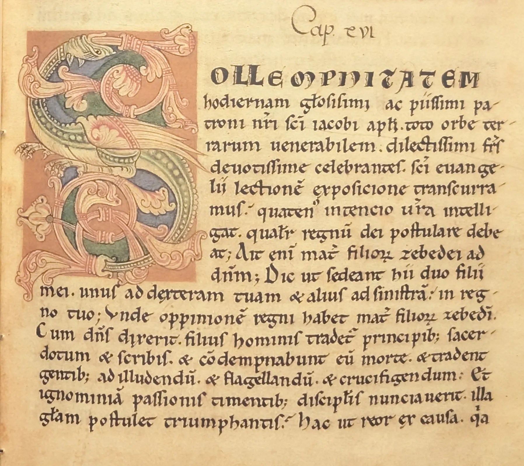 Imagen del Codex Calixtinus donde se ve la inicial ornamentada 'S'