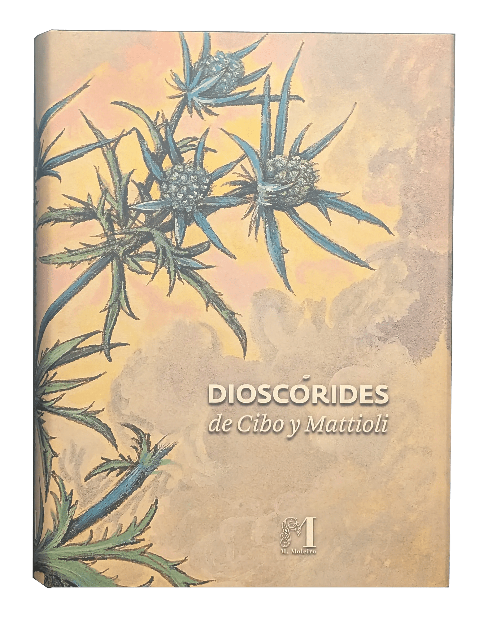 Dioscórides de Cibo y Mattioli, Libro de Estudios