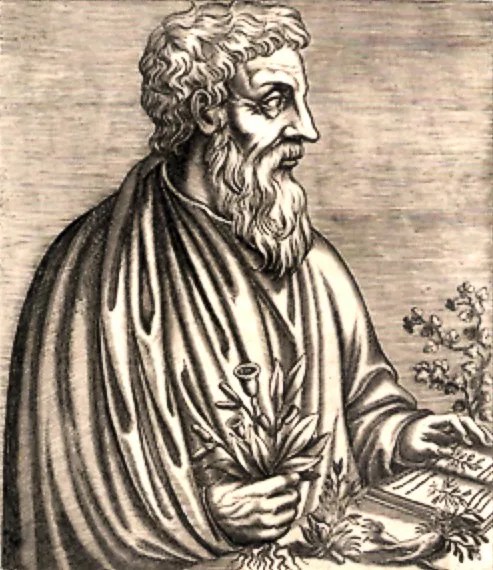 Retrato de Pedanio Dioscórides, Siglo I