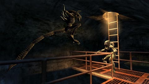 alien_predator_psp.jpg