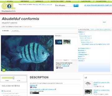 enciclopedia_vida.jpg
