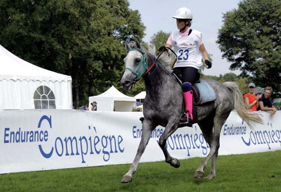 compiegne_endurance.jpg