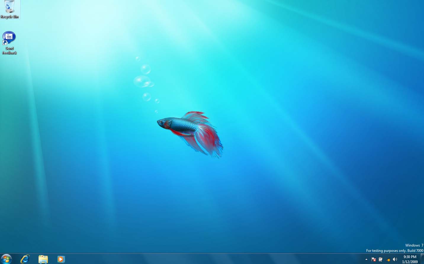 windows_7_betta_fish.jpg