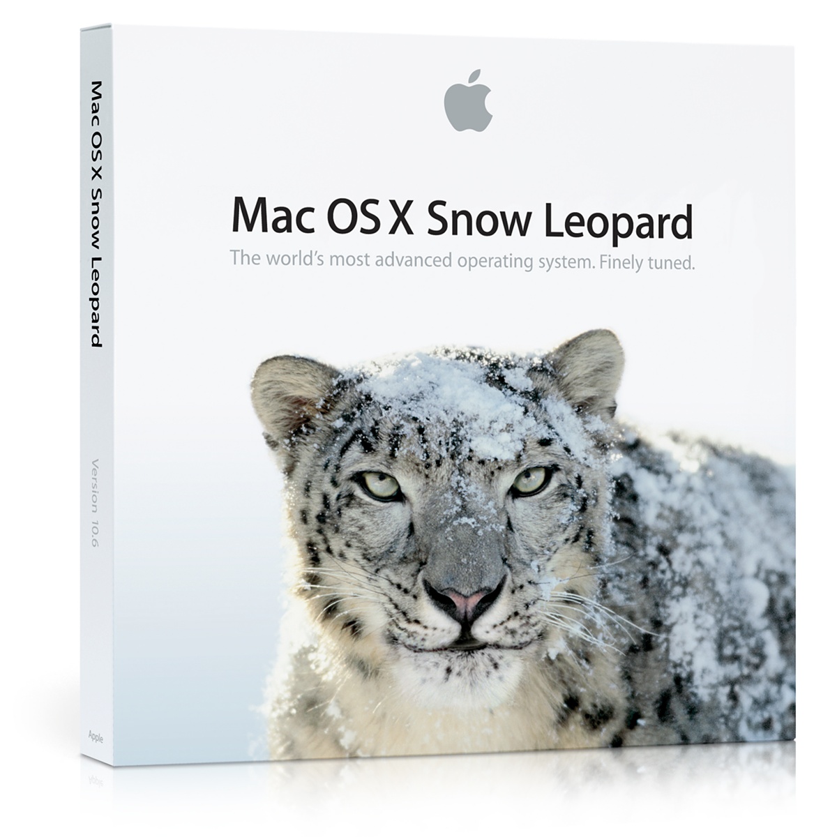 snow_leopard_caixa.jpg