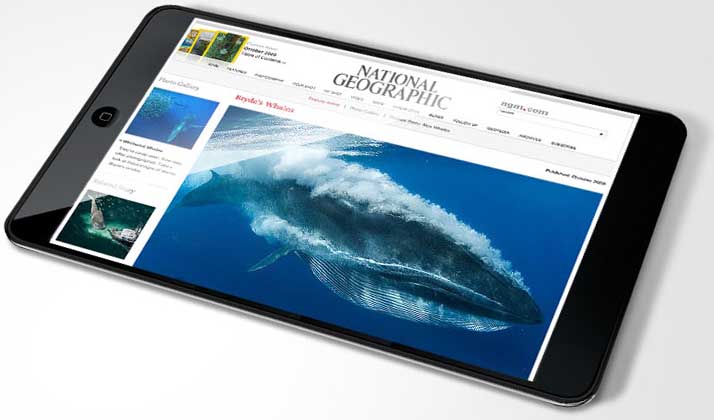 Un dos moitos deseños conceptuais sobre o que podería ser o Tablet de Apple