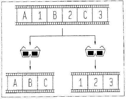 stereoscopic.jpg