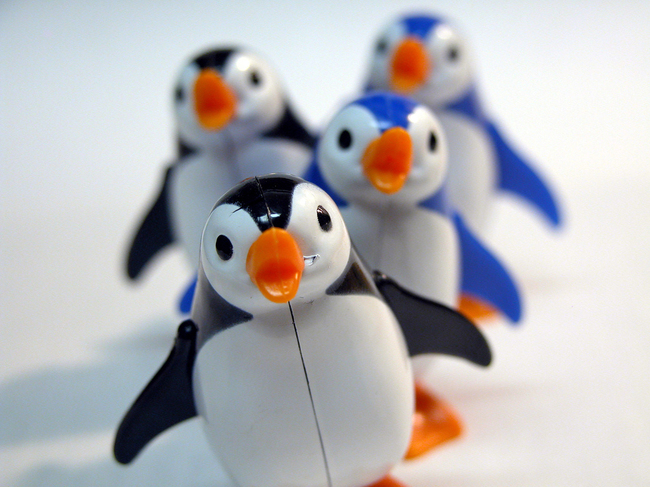 penguins_2.jpg
