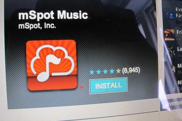 mspot.jpg
