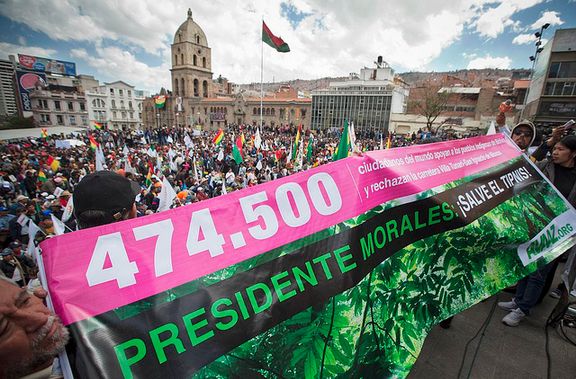 avaaz-2.jpg
