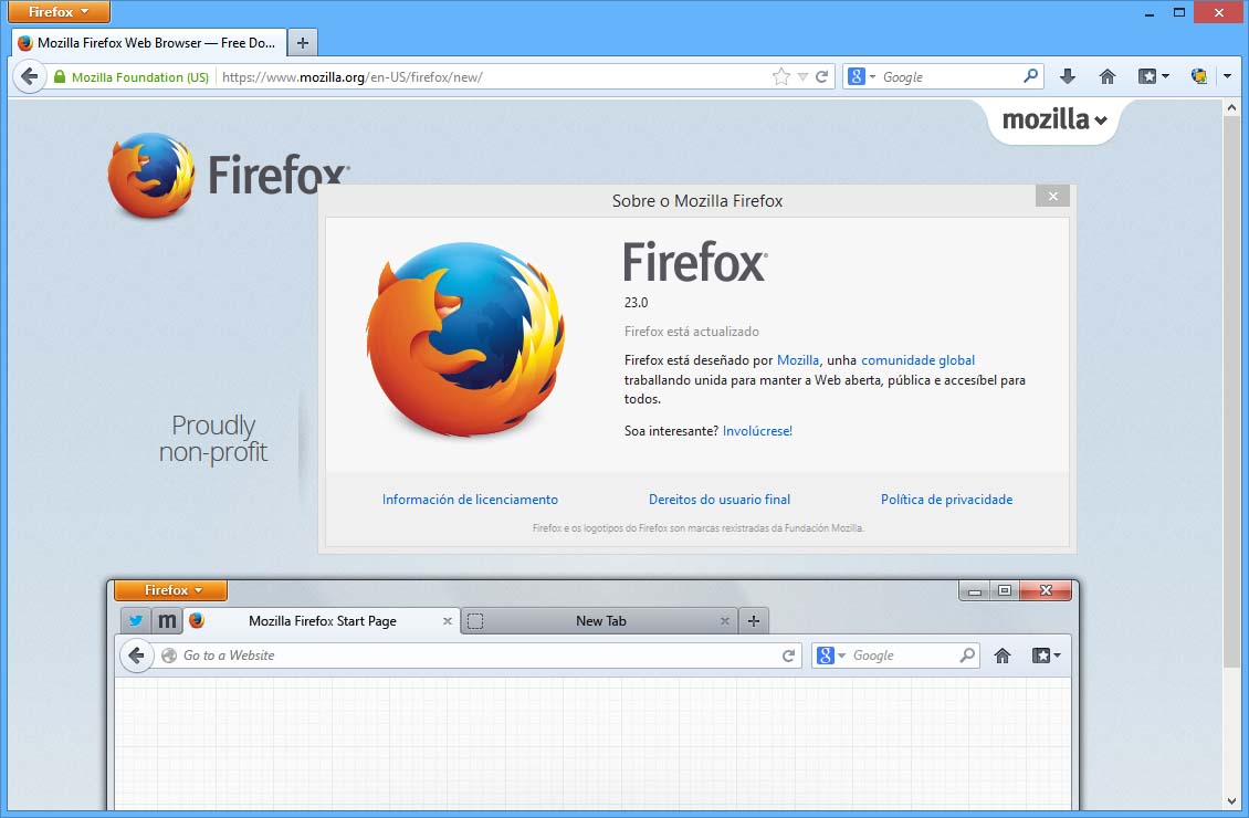 firefox_23.jpg